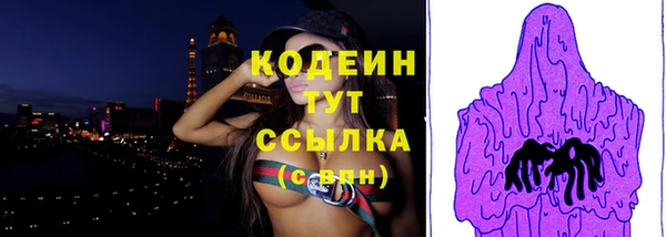 spice Ельня
