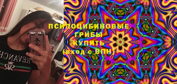 экстази Бежецк