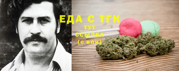 spice Ельня