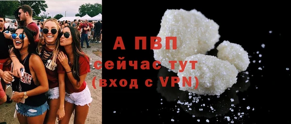 spice Ельня