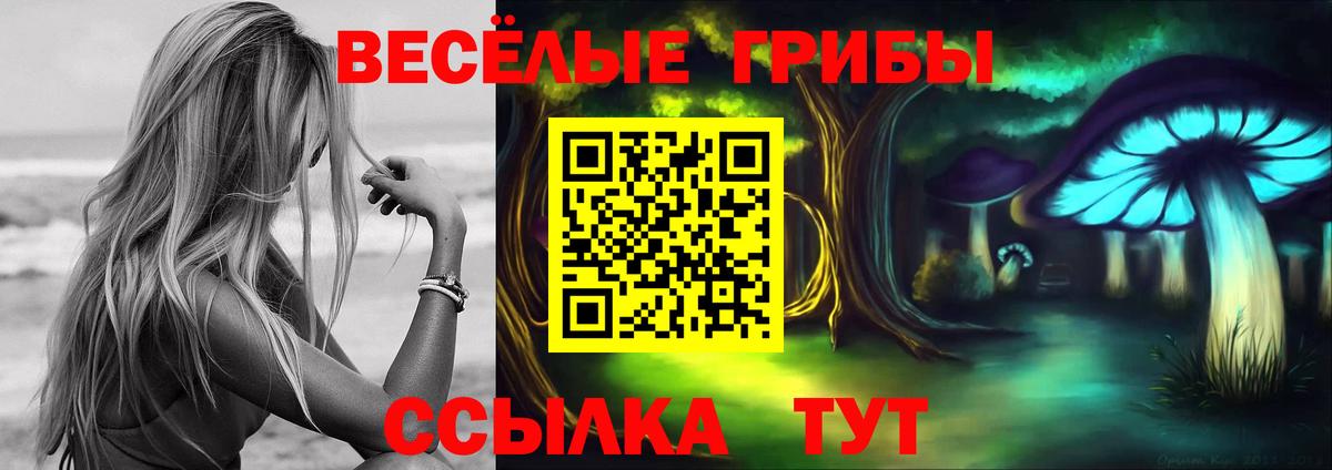 Псилоцибиновые грибы MAGIC MUSHROOMS Карачаевск