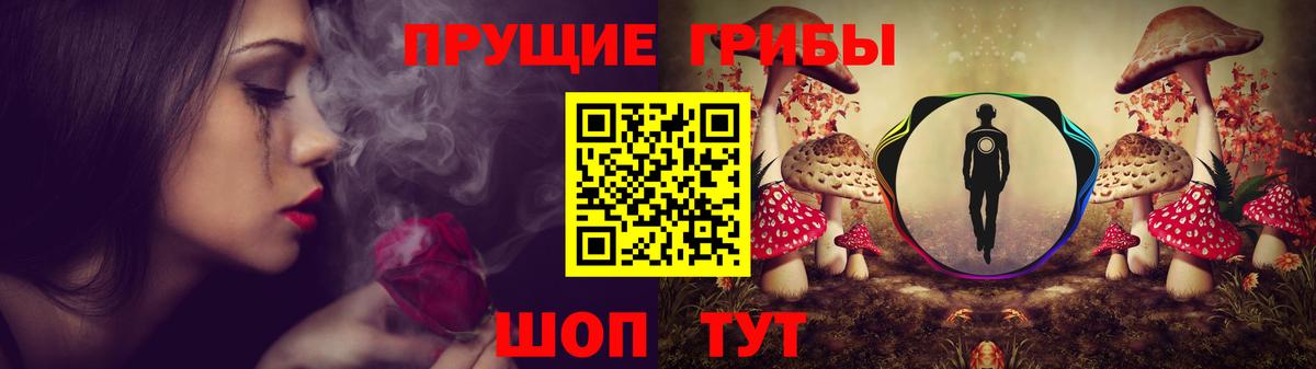 Карачаевск  Псилоцибиновые грибы MAGIC MUSHROOMS  Галлюциногенные грибы Psilocybine cubensis  Вход с VPN 